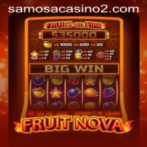 Exploring the Thrilling World of FruitNova on 007.bet